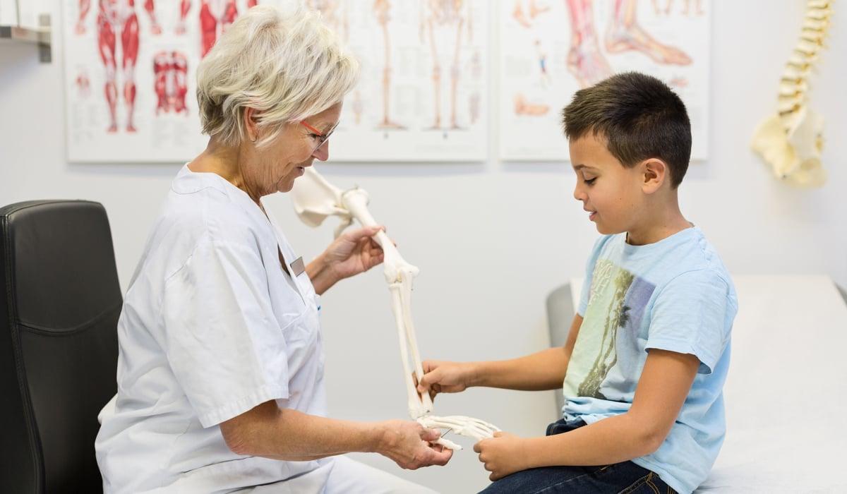 Foto på en läkare och ett barn som tittar på en skelettdel i plast. 